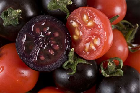 Eat Tomatoes and Grapefruit to Get Lycopene Into Your Diet | Observer