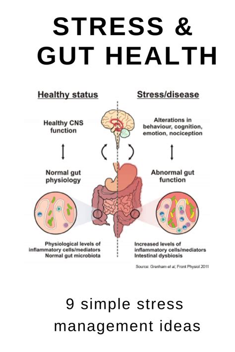 Pin on Gut Health