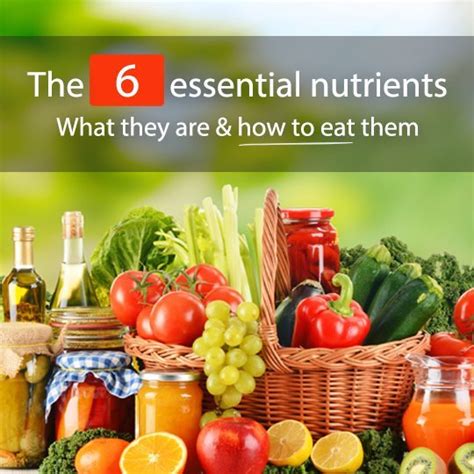 Understanding The 6 Essential Nutrients &amp; How To Consume Them ...