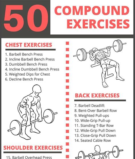 The Ultimate List of Compound Exercises: 50 Muscle-Building Exercises ...