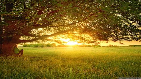 Peaceful Nature Wallpapers - Top Free Peaceful Nature Backgrounds ...