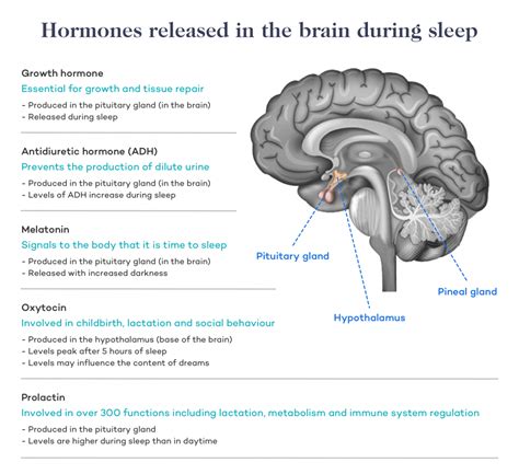 Sleep and Health: Everything you Need to Know - Dr. Robert Kiltz