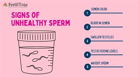 How do the dietary needs for selenium specifically differ for men compared to women, especially concerning prostate health and sperm quality?