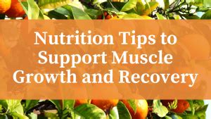 Nutrition Tips to Support Muscle Growth and Recovery - World Newswire