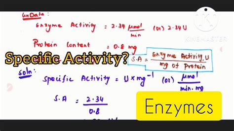 Specific daily habits for men to optimize testosterone & energy levels?