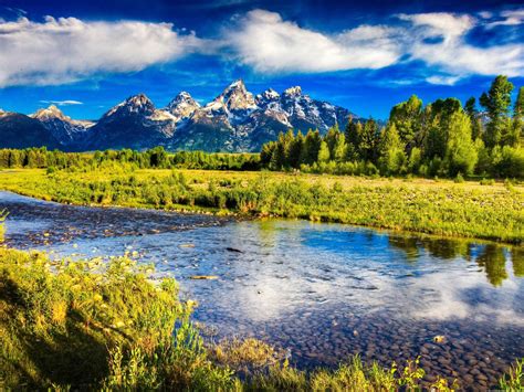 What natural strategies boost testosterone for peak male vitality & performance?