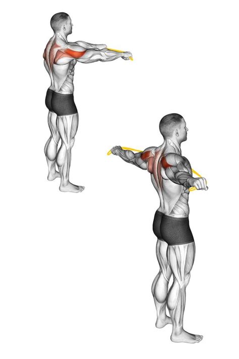 Band Pull-Aparts: Exercise Guide, Tips and Benefits - Vitruve