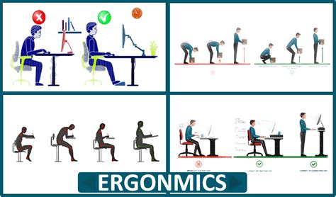 Examples Of Ergonomics | lupon.gov.ph