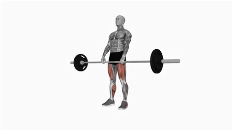 Mastering the Barbell Deadlift: A Complete Guide to This Power-Packed ...