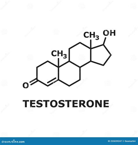 Hormone Testosterone Molecular Structural Formula Stock Vector ...