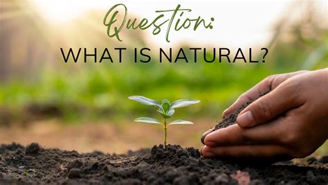 Question: What is Natural? – The Natural State Skincare Co.