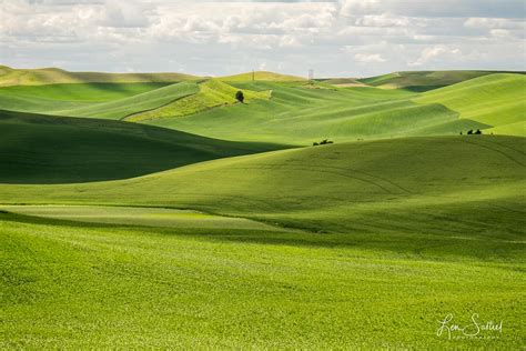 Undulating Landscape - Colfax, Washington — Lens EyeView Photography