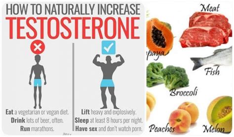 Beyond diet, what daily habits optimize men’s natural testosterone levels?