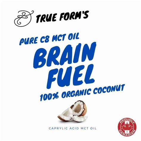 Healthy Fats are Fantastic for Brain Health - True Form Life