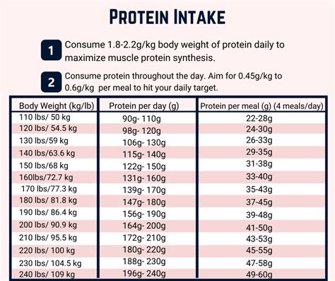 What is the optimal daily protein intake recommendation for an active adult male aiming to build or maintain muscle mass?