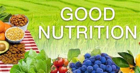 Shreepatilji - Blog: Complete Balanced Nutrition