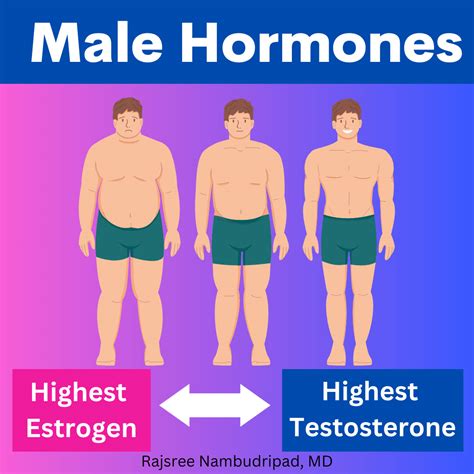 Natural Ways To Boost Your Testosterone • OC Integrative Medicine