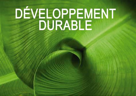 Une semaine pour le développement durable - Toutelaculture