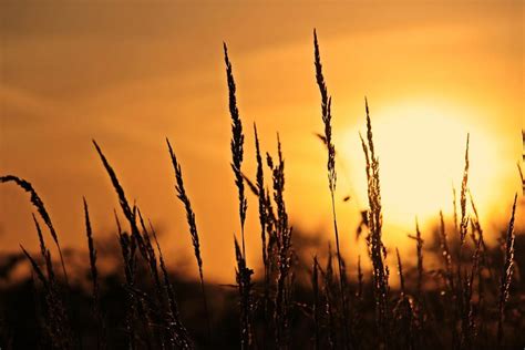 5 Ways to Boost Your Morning Energy