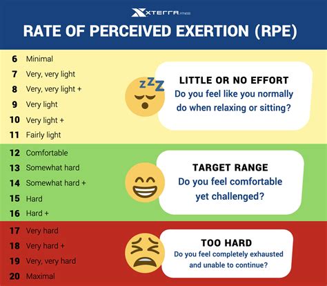Perceived Exertion Scale