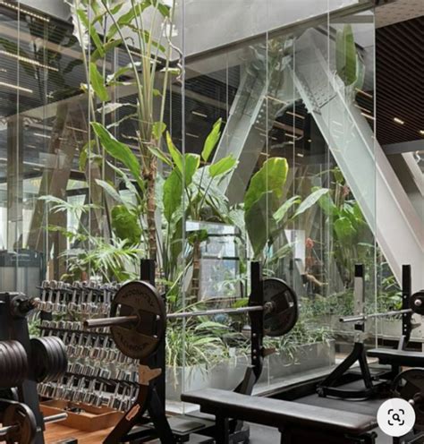 Sustainable Fitness: Balancing Well-being and Environmental Impact in Gyms