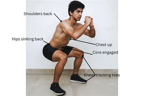 Squat Stands vs Leg Press: Choose the BEST for You!