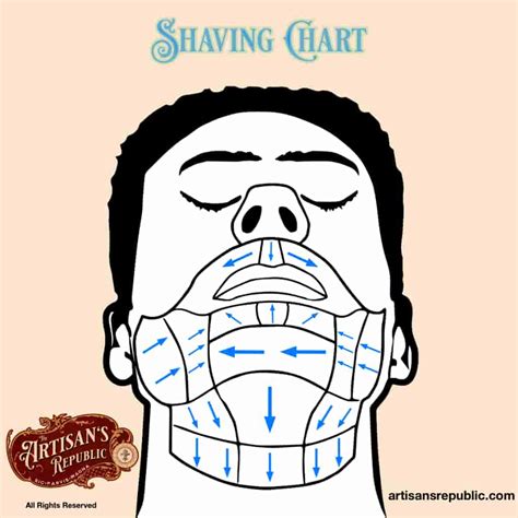 How to shave correctly - Shaving Chart Guide, Hair Growth Map.