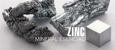 Zinc, mineral esencial para la vida humana