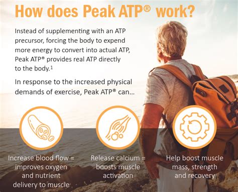 Optimize nutrition for peak male energy, focus, and strength gains?