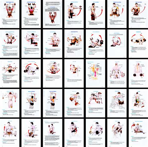 BodyBuilding & Fitness: WORKOUT PROGRAM
