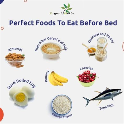 Perfect Foods To Eat Before Bed | Perfect food, Oatmeal with fruit, Healthy snacks before bed