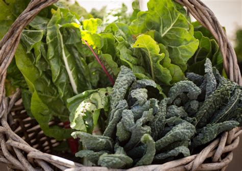 What dietary strategies naturally support men’s testosterone and vitality?