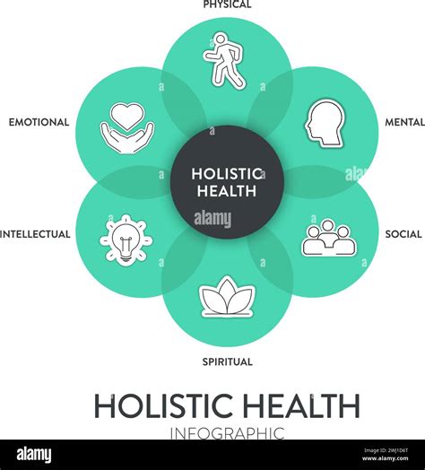 Holistic Health framework infographic diagram chart illustration banner ...