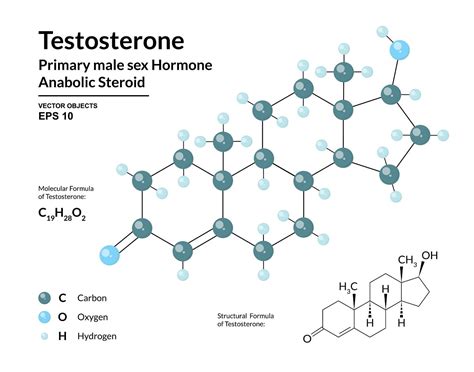 All About Testosterone Synthesis: Everything You Need To Know