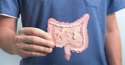 The importance of gut health | PhillyVoice