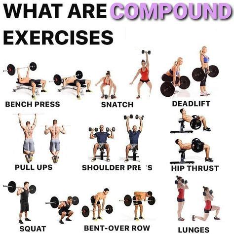 37 Compound exercise ideas in 2021 | compound exercises, exercise ...