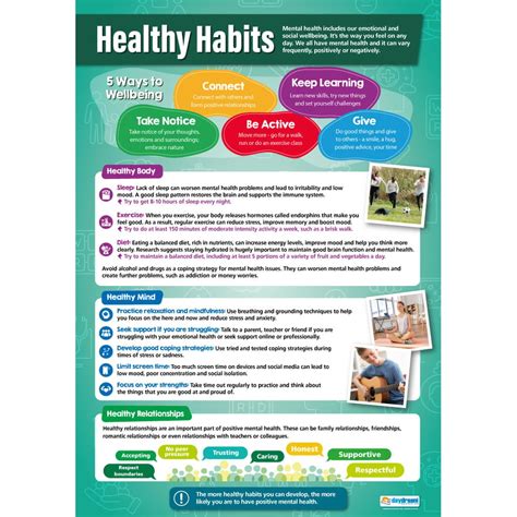 Healthy Habits Poster - Daydream Education