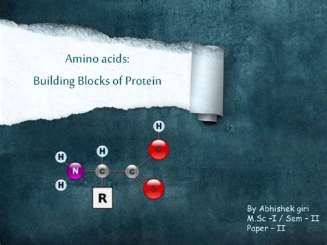 Amino acids- the building blocks of proteins
