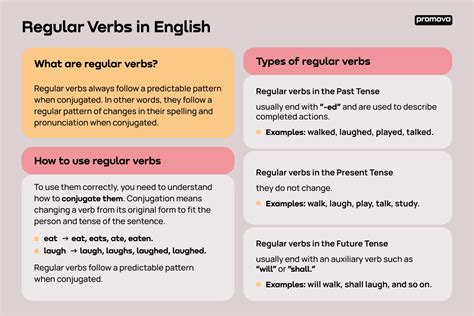 Regular Verbs in English: Examples & Definition | Promova | Promova Blog