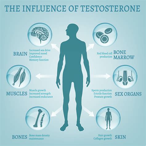 Testosterone Optimization/Replacement Therapy (TOT/TRT) - The Men's Center