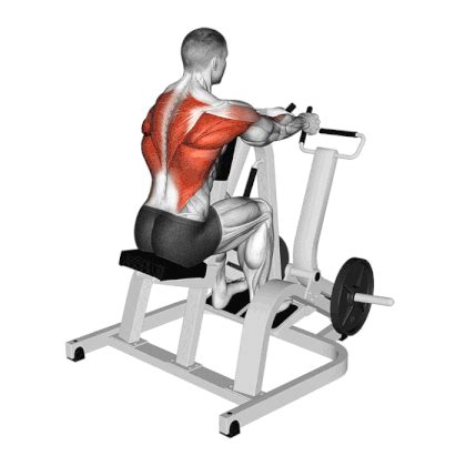 Chest Supported Row