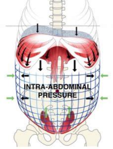 What is Intra-Abdominal Bracing and How does it Work? — Restore ...
