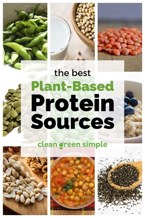 17 Best Plant-Based Protein Sources for Vegans and Vegetarians - Clean ...