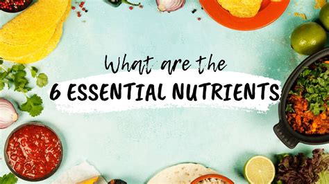 Essential Nutrients - YouTube
