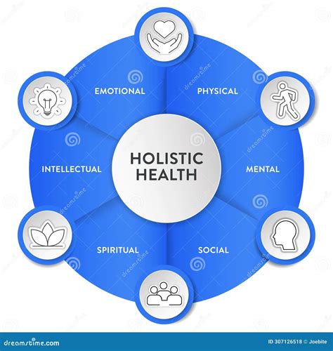 Holistic Health Framework Infographic Diagram Chart Illustration Banner ...