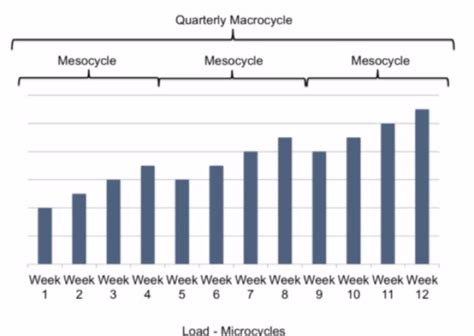 Periodization for Strength Training and Rehabilitation