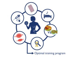 Your optimal training frequency for the Glutes part 2: training status ...