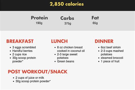 How To Control Your Hunger: The Complete Guide to Carb Cycling Diet ...