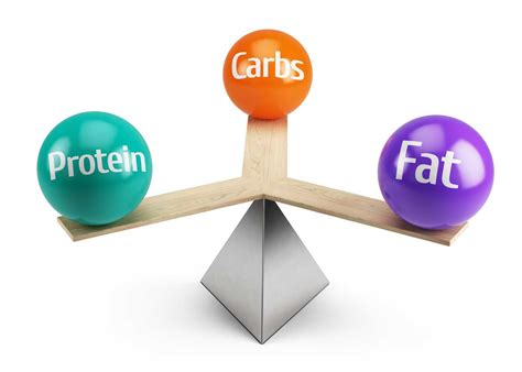 Why Macronutrient Balance is Important for Health and Fitness - Cathe Friedrich