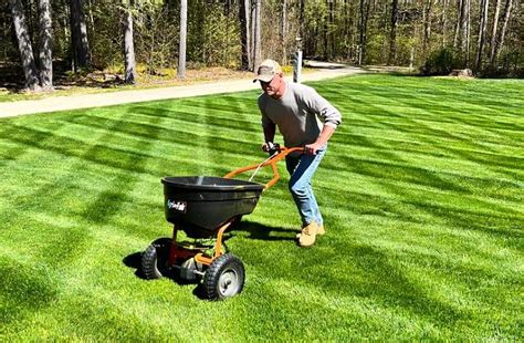 How and When to Fertilize Your Lawn This Fall – Green Grounds ...